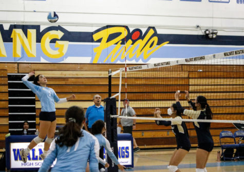 Girls Volleyball emerges victorious against Rowland
