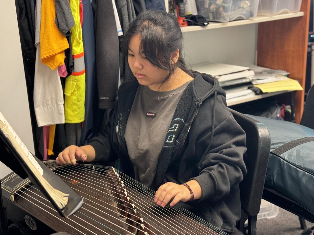 Junior Noya Chen practices her guzheng, a traditional Chinese plucked instrument at home. “It’s not a matter of liking, I like practicing by myself but I am okay [when] performing in front of other people,” Chen said. “[The guzheng] can have different tunes and are just very versatile. No matter how you play [the guzheng],  it sounds good.”