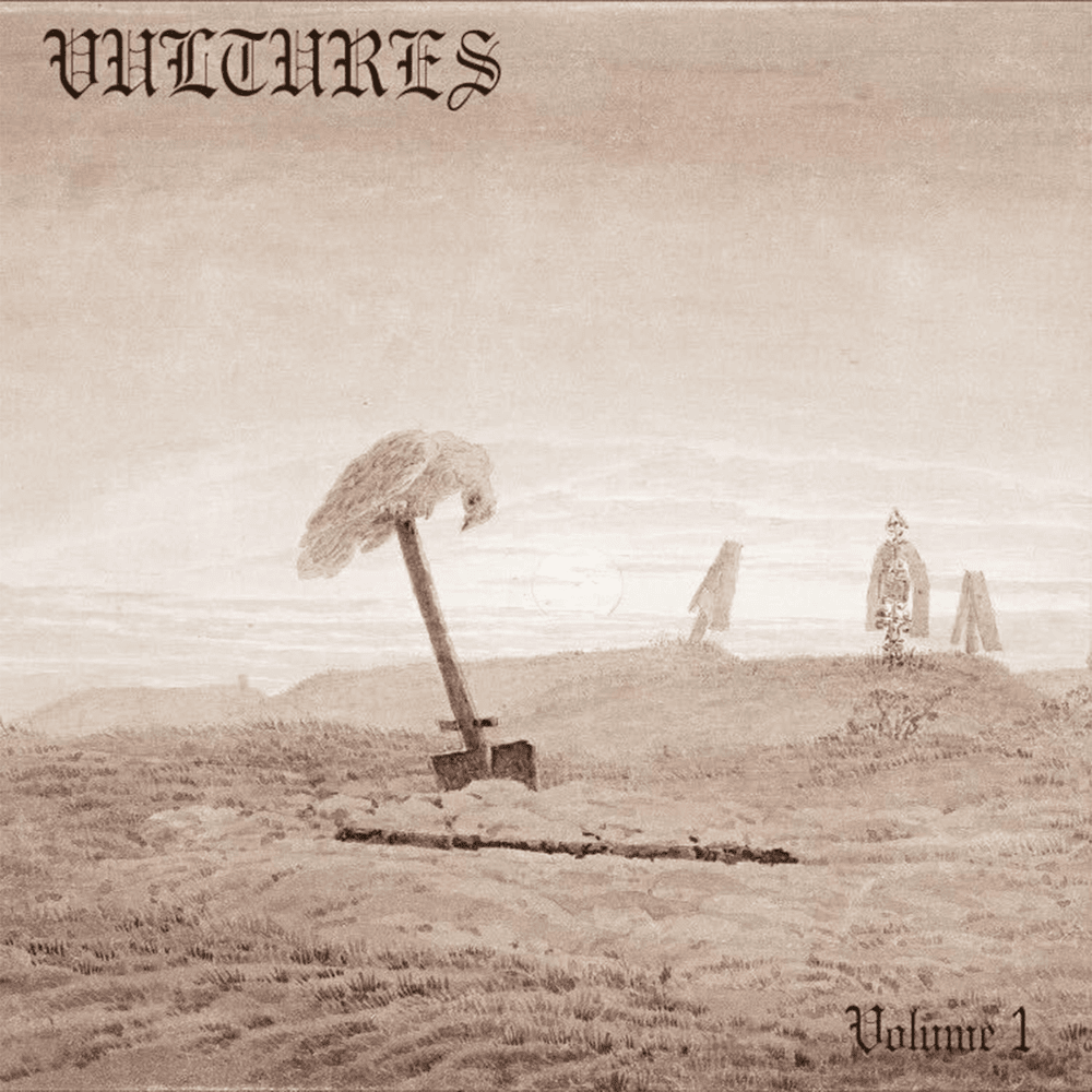 This is the original album cover of Vultures 1.