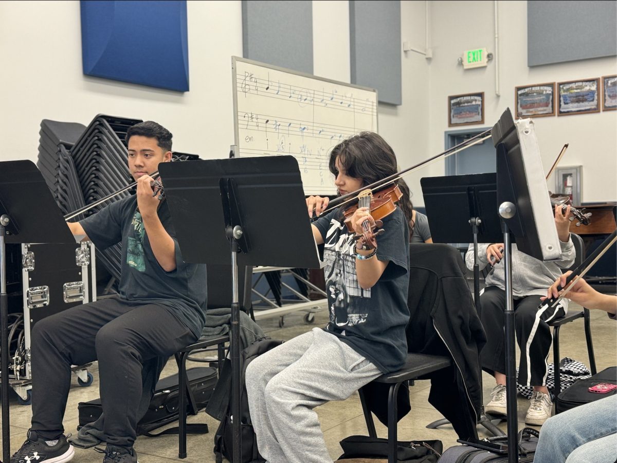 Concert+orchestra+musicians+sophomore+Gabriel+Gonzalez+and+senior+Caren+Magdaleno+practice+in+an+empty+orchestra+room.