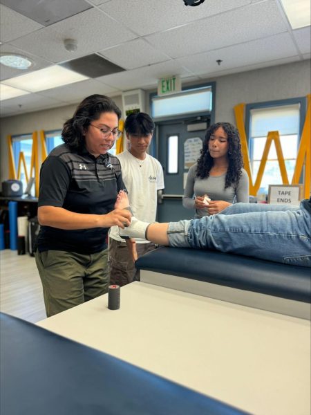 Navigation to Story: Sports medicine program expands opportunities to freshman