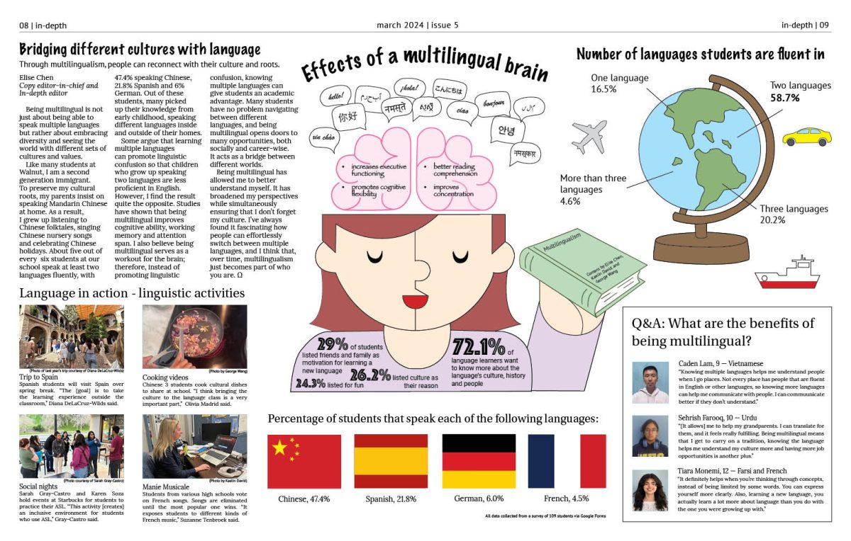 Effects of a multilingual brain