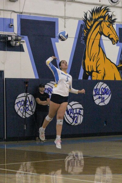 Senior outside hitter Caylin Caballero prepares to strike the ball in a match against Glendora on Tuesday, Oct. 15.