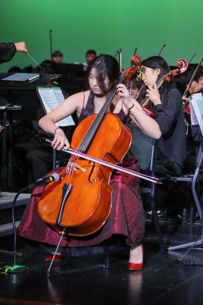 Navigation to Story: Orchestra serenades with annual fall concert