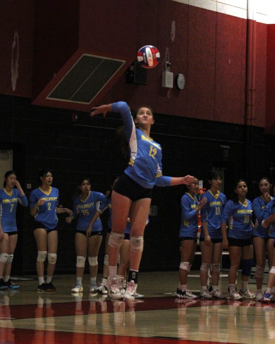 Setter senior Isabel Valle serves the ball in a CIF finals lost to Oak Hills 0-3.  “The most momentous part of the game was the end when we noticed that we weren’t going to be able to turn back, and that just made it really difficult to keep playing and serving with energy,”  Valle said. 