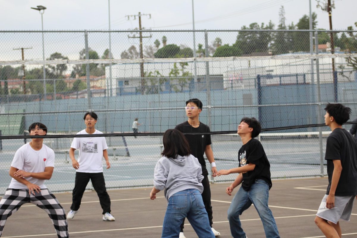 Building teamwork | Coming together on the Walnut outdoor volleyball courts,  participants in the Volleyball Club play a practice match on Oct. 25, 2023 to refine their skills for future competitive scrimmages.