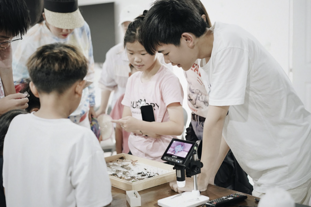 Junior Cohen Kong explains an insect display to kids. 