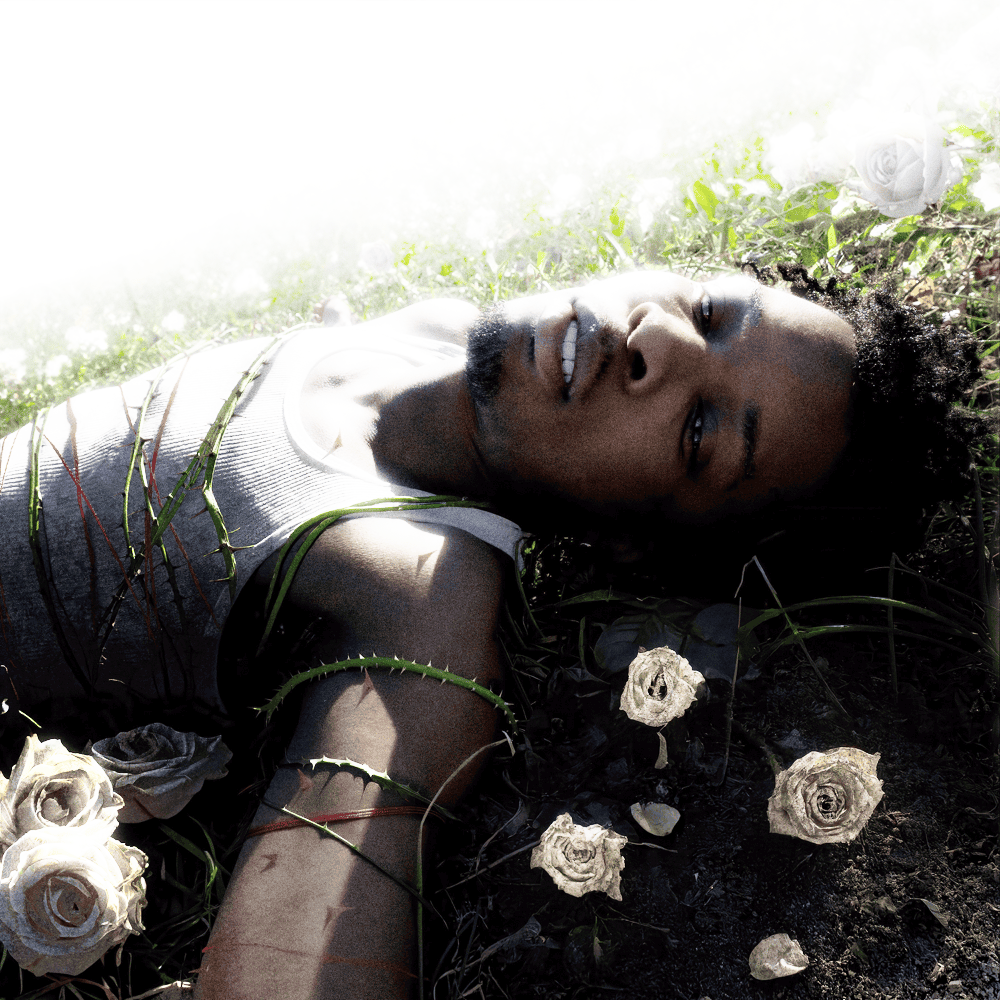 The cover for d4vd’s new studio album, “WITHERED,” shows him lying down in a field consumed by thorns, dreaming of being in a relationship with an unnamed significant other.