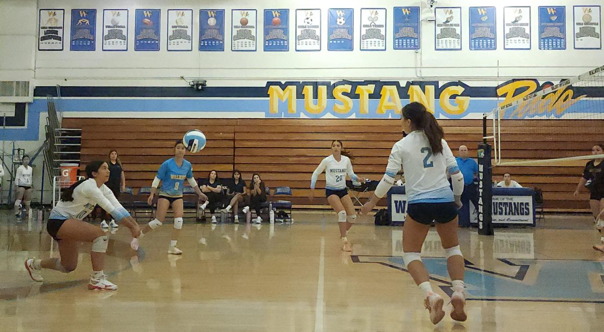 Outside hitter junior Leilah Salonga passes the goal on defense. “I feel like I perform good, not my best. I feel like even though the lineup might have been different, we still work together really well,” Salonga said. 
