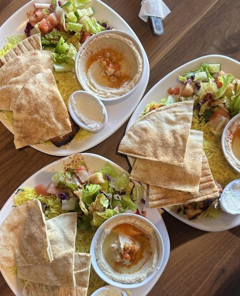 Navigation to Story: The Mediterranean Kabob Station is an appetizing must-try