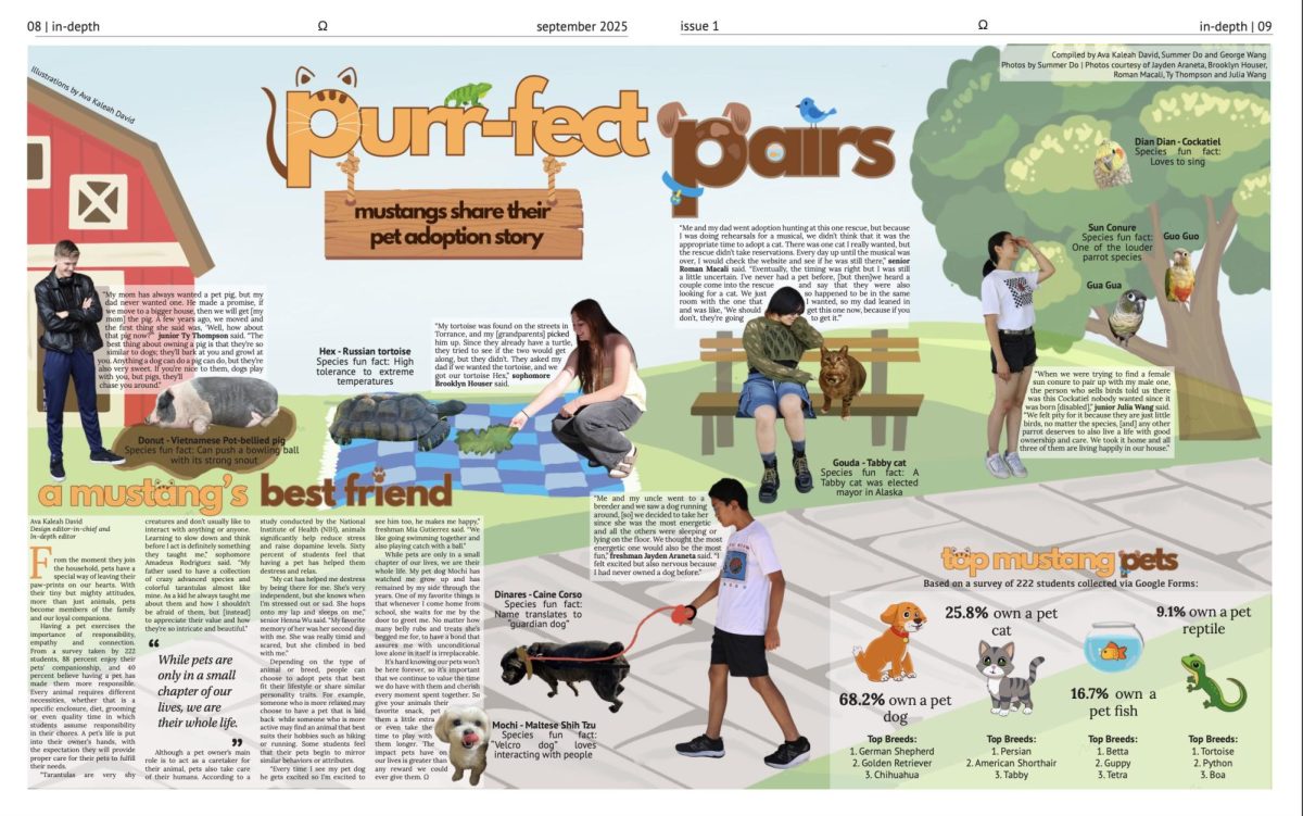 Purr-fect Pairs