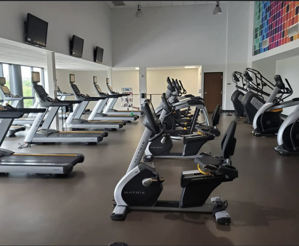 Navigation to Story: Is toxic gym culture turning fitness into a performance?