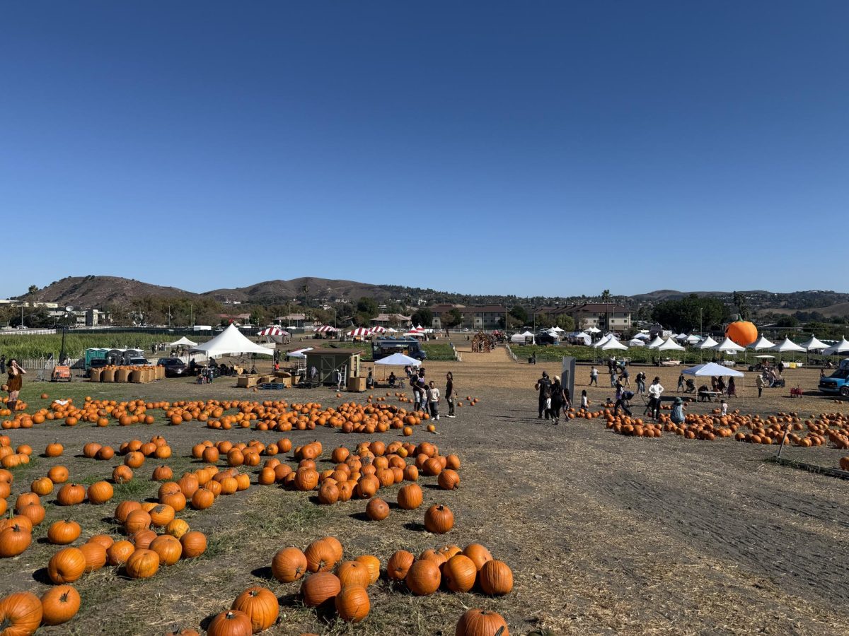 Pumpkins o’ plenty | Open until Oct. 26,  the Cal Poly Pumpkin Festival includes many booths, a corn maze and a pumpkin patch.