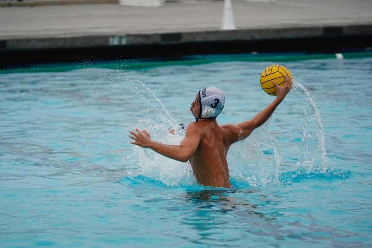 Senior Nathan Wang prepares to throw the ball during a game.
