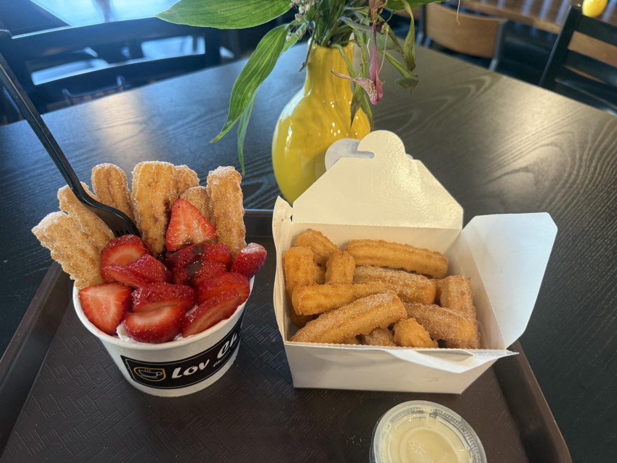 From left to right is the Churro Fruitci Bowl and the Churro Bites.