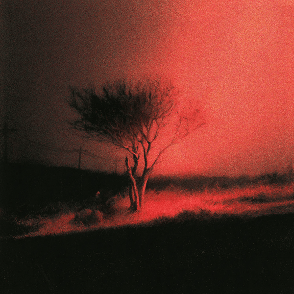 The album cover for Joji's new album, "PISS IN THE RAIN".