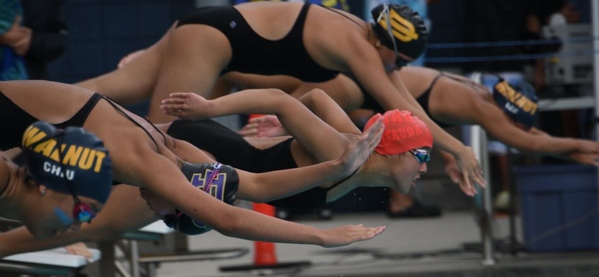 Freshman Vivian Zhou dives into the pool for her event. "I felt excited and pumped up," Zhou said.